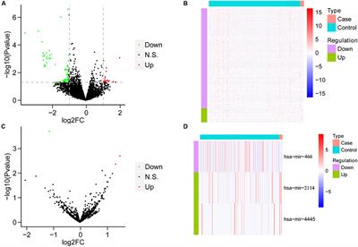 Exploration of Sorafenib Influences on Gene Expression of Hepatocellular Carcinoma